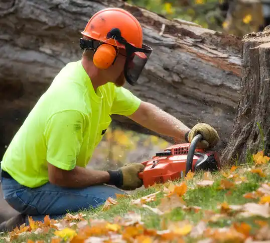 tree services Saluda